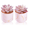 ZENIDA Artificial Plants and Succulents in 2 White Ceramic Pots,Small Fake Plants for Office and Desk Decor,Bathroom, Bedroom,Shelves for Women