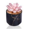 ZENIDA Artificial Plants and Succulents in 2 White Ceramic Pots,Small Fake Plants for Office and Desk Decor,Bathroom, Bedroom,Shelves for Women