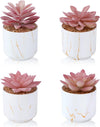 ZENIDA Artificial Plants and Succulents in 2 White Ceramic Pots,Small Fake Plants for Office and Desk Decor,Bathroom, Bedroom,Shelves for Women
