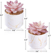ZENIDA Artificial Plants and Succulents in 2 White Ceramic Pots,Small Fake Plants for Office and Desk Decor,Bathroom, Bedroom,Shelves for Women