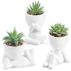 Der Rose 3pcs Fake Succulents Plants Artificial for Black Bathroom Bedroom Home Living Room Halloween Decor Aesthetic Indoor