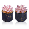 ZENIDA Artificial Plants and Succulents in 2 White Ceramic Pots,Small Fake Plants for Office and Desk Decor,Bathroom, Bedroom,Shelves for Women