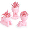 Der Rose 3pcs Fake Succulents Plants Artificial for Black Bathroom Bedroom Home Living Room Halloween Decor Aesthetic Indoor